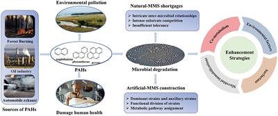 Artificial mixed microbial system for polycyclic aromatic hydrocarbons degradation